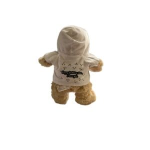 A Teddy Bear Hoodie wearing a white hoodie with text, viewed from behind.