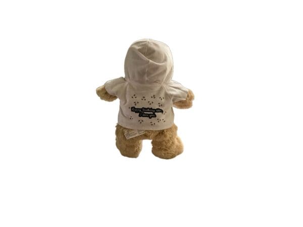 A Teddy Bear Hoodie wearing a white hoodie with text, viewed from behind.